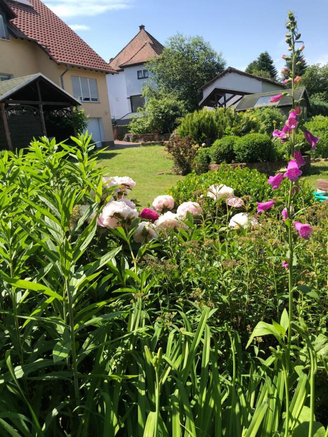 Gemuetliches Apartment Garden View Ramstein-Miesenbach Bagian luar foto