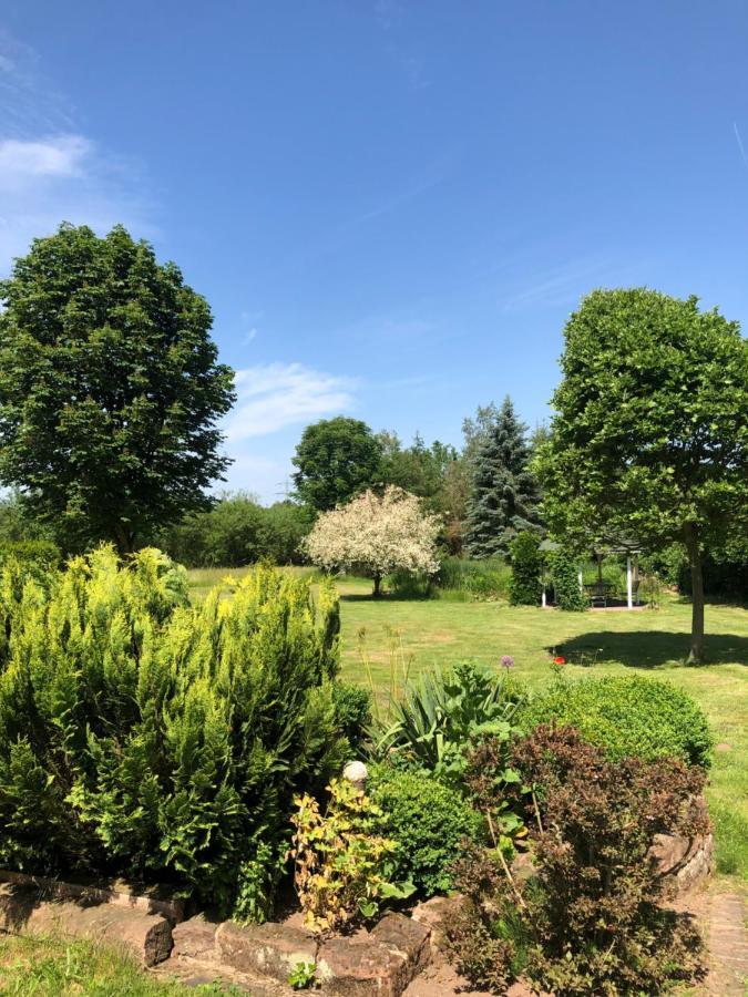 Gemuetliches Apartment Garden View Ramstein-Miesenbach Bagian luar foto