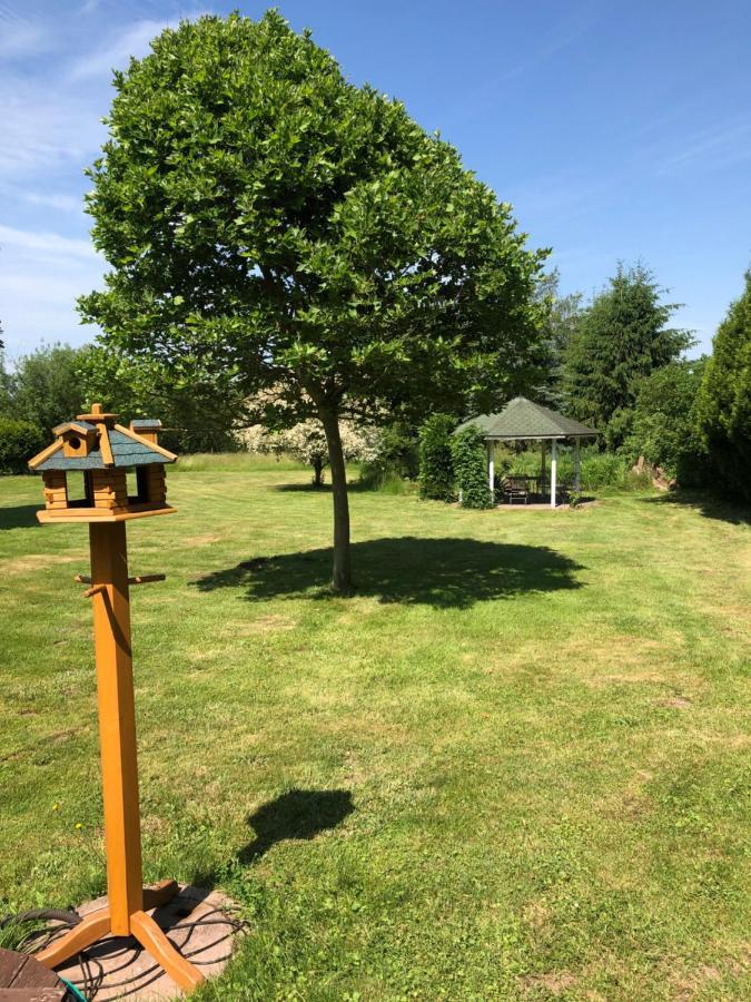 Gemuetliches Apartment Garden View Ramstein-Miesenbach Bagian luar foto